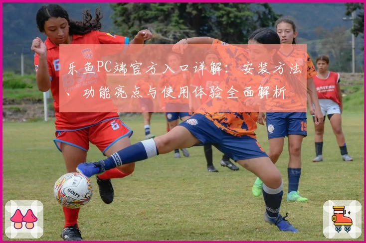 乐鱼PC端官方入口详解：安装方法、功能亮点与使用体验全面解析