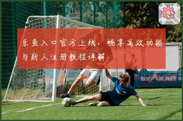 乐鱼入口官方上线，畅享高效功能与新人注册教程详解