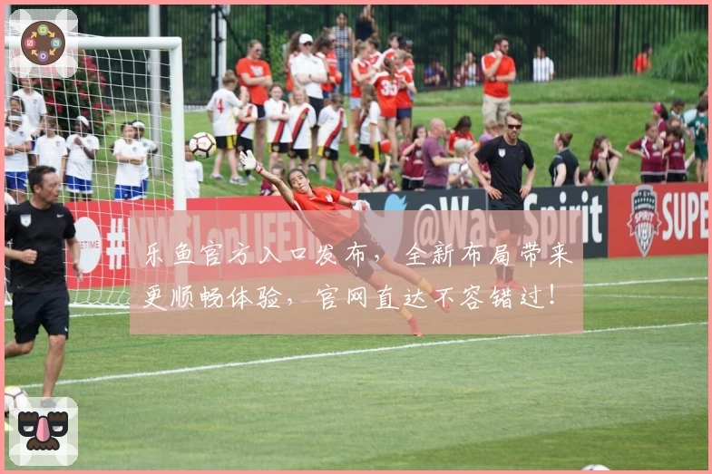 乐鱼官方入口发布，全新布局带来更顺畅体验，官网直达不容错过！